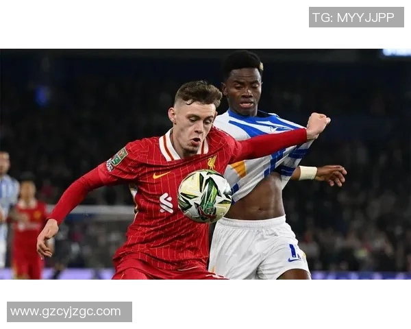 布莱顿与利物浦对决前瞻分析及赛果预测详解