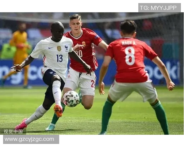 新西兰与法国在激烈对抗中战成平局双方展现出色实力与团队合作精神