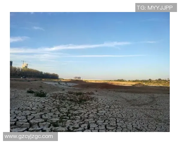 河床与巴勒斯坦人之间的冲突与和解之路探讨